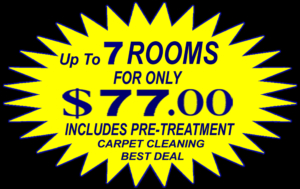 chandler carpet cleaners